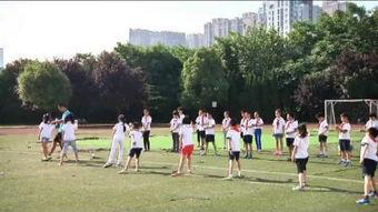 小学体育说课视频,趣味运动教学新视角