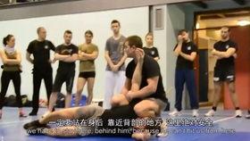 夺刀术教学视频,一招制敌的防身绝技解析