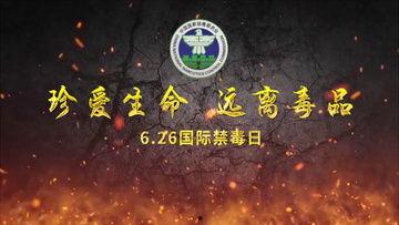 禁毒视频下载,视频下载背后的正义力量