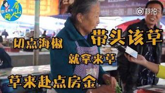 污骚视频,背后真相与反思