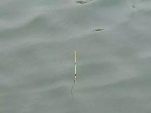 精准调漂视频,视频教程深度解读