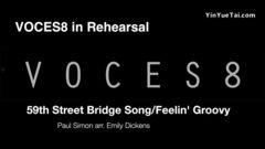 欧洲视频下载,轻松获取海量精彩内容