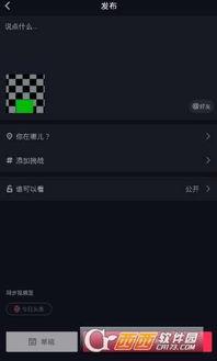 抖音视频怎么翻转,颠覆视觉体验的副标题制作技巧