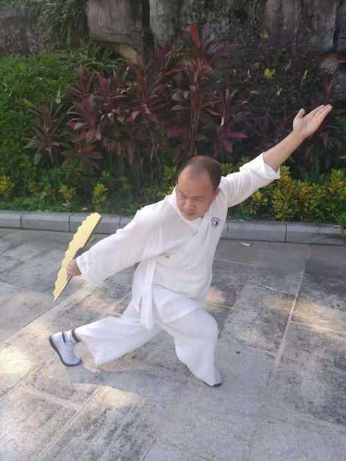 太极门视频,探寻传统武术与现代生活的和谐交融