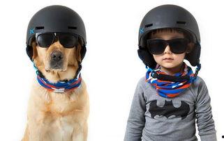 多多神犬小视频,萌宠日常，欢乐无限