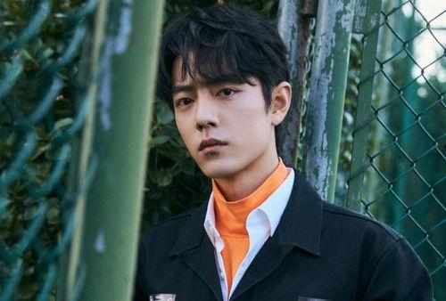 肖战花海视频,唯美画面引网友热议